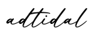 单词adtidal书写