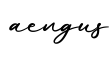 单词aengus书写