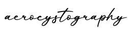 单词aerocystography书写