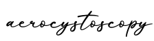 单词aerocystoscopy书写