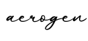 单词aerogen书写