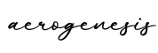 单词aerogenesis书写