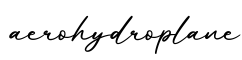 单词aerohydroplane书写