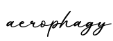 单词aerophagy书写