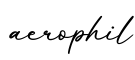 单词aerophil书写