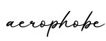 单词aerophobe书写