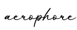 单词aerophore书写