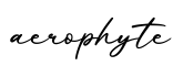 单词aerophyte书写
