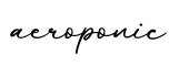 单词aeroponic书写