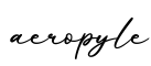 单词aeropyle书写