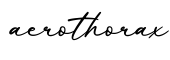 单词aerothorax书写