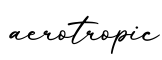 单词aerotropic书写