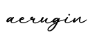 单词aerugin书写
