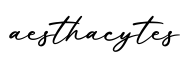 单词aesthacytes书写