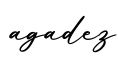 单词agadez书写