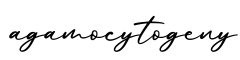 单词agamocytogeny书写