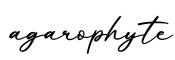 单词agarophyte书写