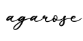 单词agarose书写