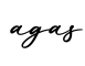 单词agas书写