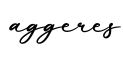 单词aggeres书写