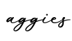 单词aggies书写