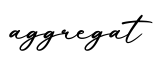 单词aggregat书写