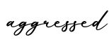 单词aggressed书写