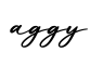 单词aggy书写