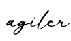 单词agiler书写