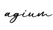 单词agium书写