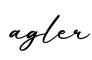 单词agler书写