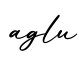 单词aglu书写