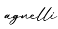 单词agnelli书写