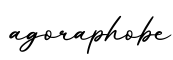 单词agoraphobe书写