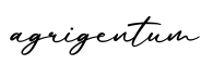 单词agrigentum书写