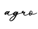 单词agro书写