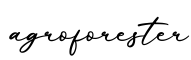 单词agroforester书写