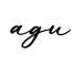 单词agu书写