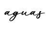 单词aguas书写