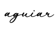 单词aguiar书写