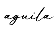 单词aguila书写