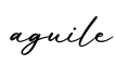 单词aguile书写