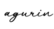 单词agurin书写