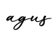 单词agus书写
