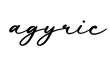 单词agyric书写