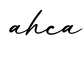 单词ahca书写