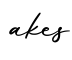 单词akes书写