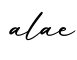 单词alae书写