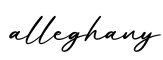 单词alleghany书写