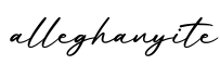 单词alleghanyite书写